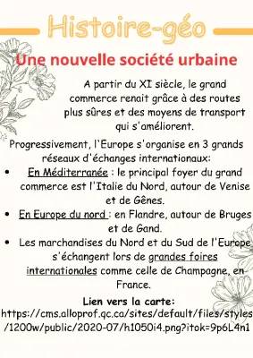 Histoire géo une nouvelle société urbaine 5ème