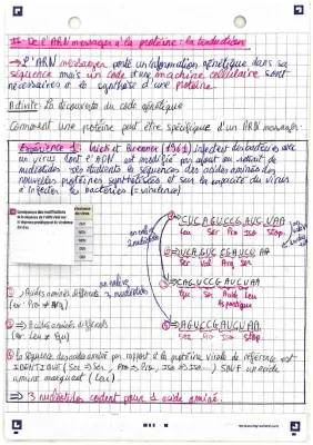 Découvre la Synthèse des Protéines et le Code Génétique