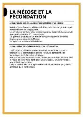 Comprendre la méiose et la fécondation: étapes et schémas