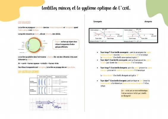 Schéma optique de l'oeil et lentilles convergentes et divergentes - Cours et exercices corrigés