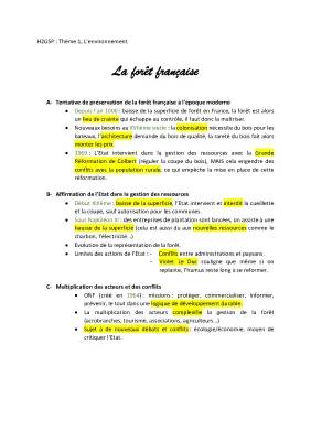 La gestion durable des forêts en France pour les enfants