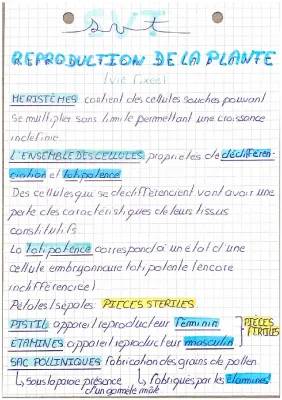 La reproduction des plantes : vie fixée et mobilité - Fiche de révision Terminale PDF