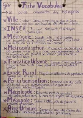 Pourquoi le poids croissant des métropoles hiérarchise les villes: Vocabulaire et Définition Géographie 1ère et 3ème