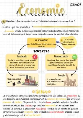 Création de Richesses en SES Seconde: Exemples de Production Marchande et Non Marchande