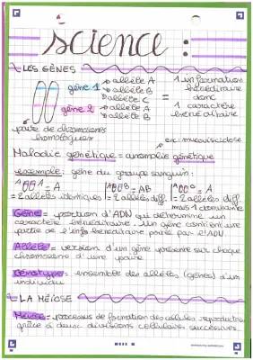 les gènes, la méiose et la fécondation 