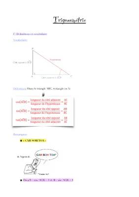 Apprends la Trigonométrie dans le Triangle ABC avec ta Calculatrice!