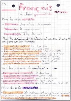 Apprends les classes grammaticales des mots variables en français !