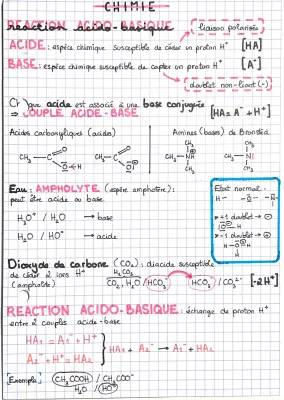 Comprendre la Réaction Acido-Basique en Chimie : Acides Carboxyliques et Bases Aminés