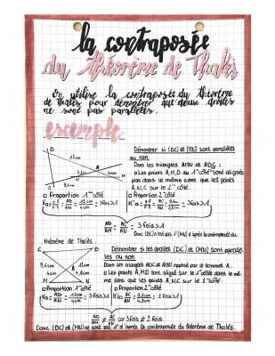 Apprends le théorème de Thalès et sa réciproque : exercices pour toi