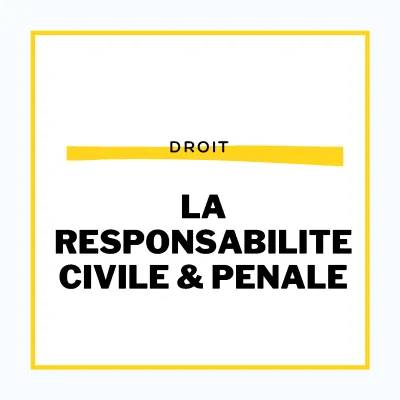 Les différents types de responsabilités en droit pour STMG