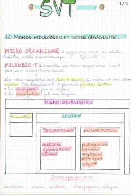 Fiche de révision SVT 3ème : Le monde microbien et notre santé