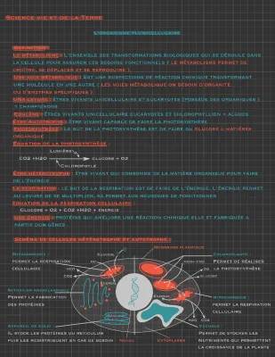 Tout savoir sur le métabolisme cellulaire : PDF et exercices corrigés pour la Seconde