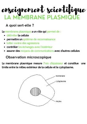 Enseignement scientifique - La membrane plasmique 