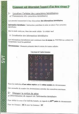 Fiche Révision SVT Brevet 3ème - Génétique et Chromosomes