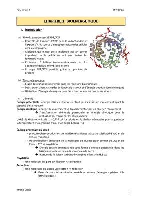 Pourquoi le transporteur d'ADP/ATP est super important en bioénergétique