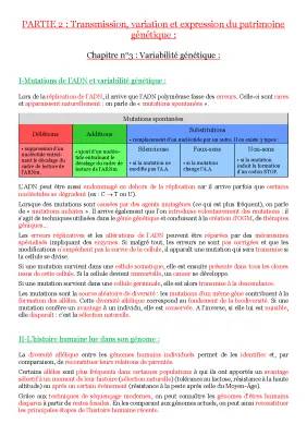 Mutation et Réparation de l'ADN - Cours et Exemples Pour les Enfants