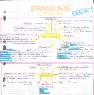 Nature et Fonction des Mots : CM2, 3ème, Exercices Corrigés et PDF