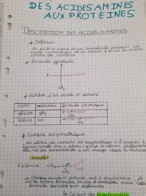 Cours sur les Acides Aminés et leurs Fonctions - Définitions et Exemples