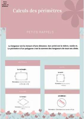 Périmètre et Aire 6ème: Exercices, Cours et Formules PDF