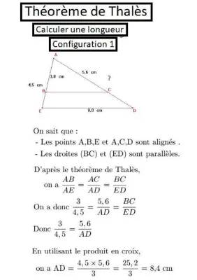 Cours théorème de Thalès 3ème avec exercices corrigés PDF