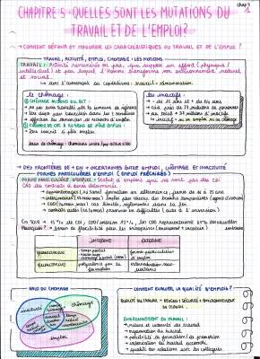 Les mutations du travail et de l'emploi : Dissertation, PDF, Fiche de révision, QCM