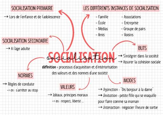 Socialisation Primaire et Secondaire : Fiche de Révision SES 2nde