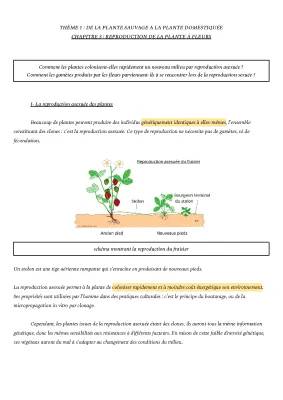 Découvre la Reproduction des Plantes: Sexuée, Asexuée et Pollinisation - PDF pour CM2