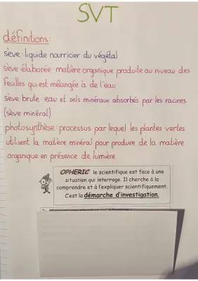 Cours SVT 5ème: Nutrition et Organisation des Plantes - Sève Brute et Élaborée, Photosynthèse, Schémas et Évaluations