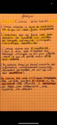 Exemples et Méthodes de Dissertation en Français : Ironie et Satire