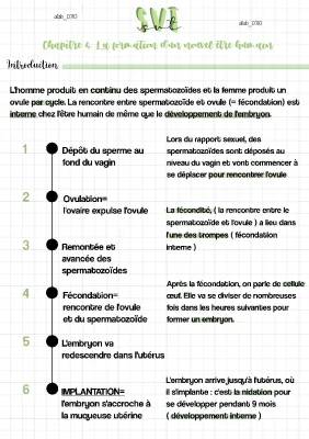 Les Étapes du Développement Embryonnaire et Fœtal: De l'Embryon au Fœtus