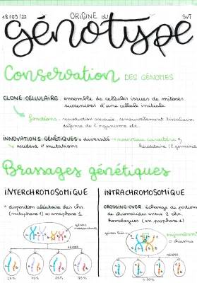 Cours SVT Terminale : L'origine du Génotype des Individus et Exercices Corrigés