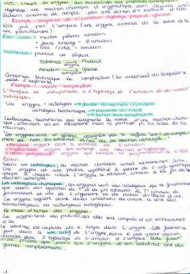 Découvre Les Enzymes: Des Catalyseurs Magiques!