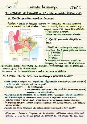 SVT - Schéma et TP sur l'Oreille et le Son