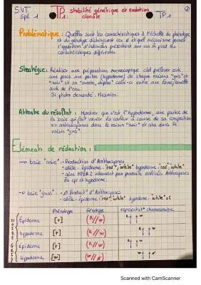 Explore la Génétique et les Cépages : Découvre la Stabilité Génétique et plus