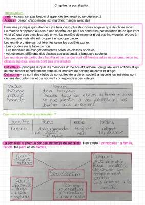 Découvre la Socialisation de Genre: Définition et Exemples Faciles