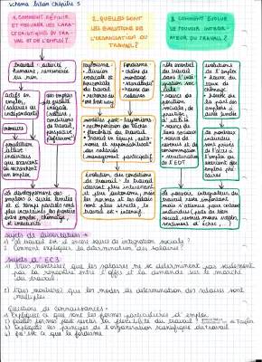 Quelles Mutations du Travail et de l'Emploi: Une Fiche de Révision pour Toi