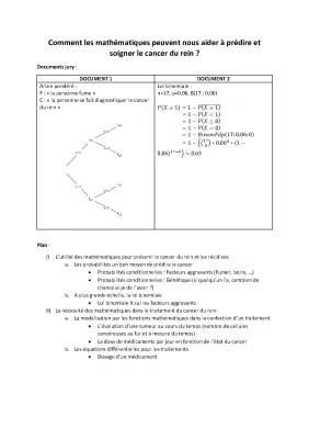 Les Maths et le Cancer : Comment les Mathématiques Aident pour le Traitement des Cancers Grand Oral