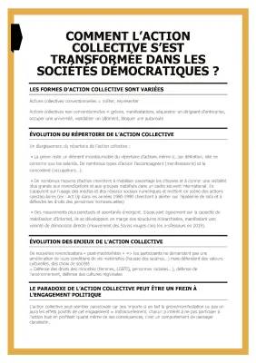 Comment l’action collective s’est-elle transformée ? Exemples et diversité dans les sociétés démocratiques