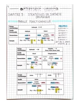 Stratégie de Synthèse Organique PDF: TP, Exercices Corrigés et Plus!