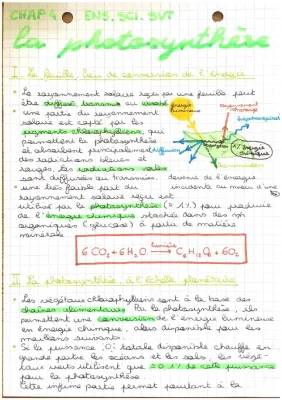 ENS.sci. SVT : la photosynthèse 