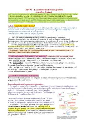 3 types de transferts horizontaux et la complexification des génomes