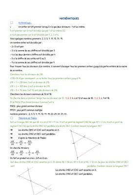 Exercices Brevet 3ème: Arithmétique et Thalès avec Corrigé PDF