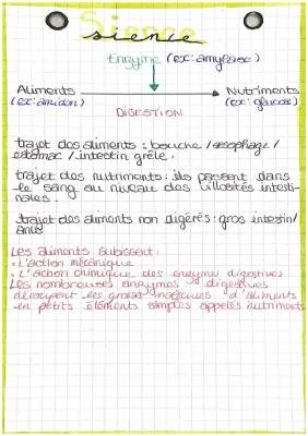 Devoirs et exercices SVT : Digestion et Cycle Menstruel 5ème et 3ème