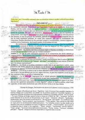 Analyse de la Déclaration des droits de la femme d'Olympe de Gouges - Préambule et Postambule