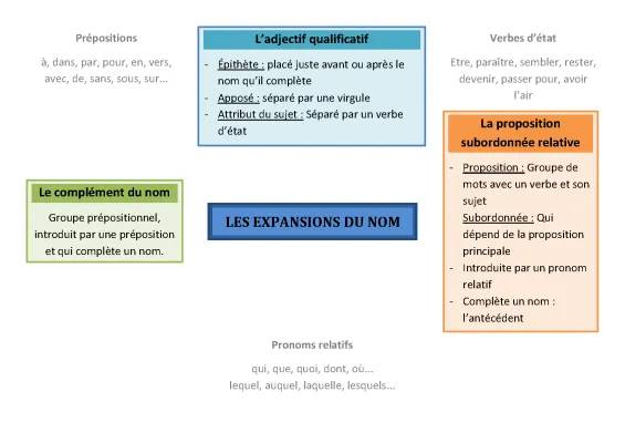 Les expansions du nom - Exemples, Exercices corrigés pour 5ème, 4ème, et CM2