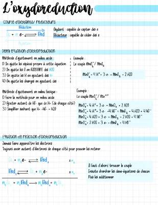 Oxydoréduction Milieu Acide ou Basique: Guide + Exercices Corrigés (1ère) (Physique Chimie)