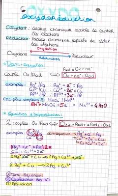 Découvre les Réactions d'Oxydoréduction: Exercices et Exemples Amusants