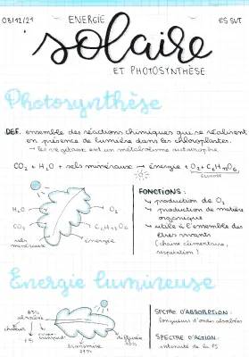 Comprendre la Photosynthèse et les Matières Organiques : Explication Simple