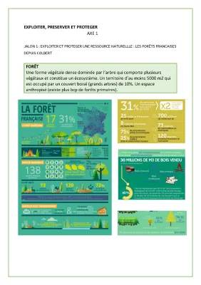 Découvre la Forêt Française depuis Colbert: Comment on Protège et Exploite