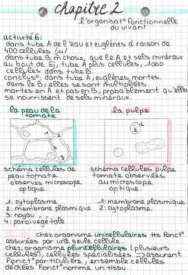 Découvre le Monde des Euglènes et des Cellules au Microscope !